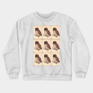 Little Owl by Albrecht Dürer Crewneck Sweatshirt